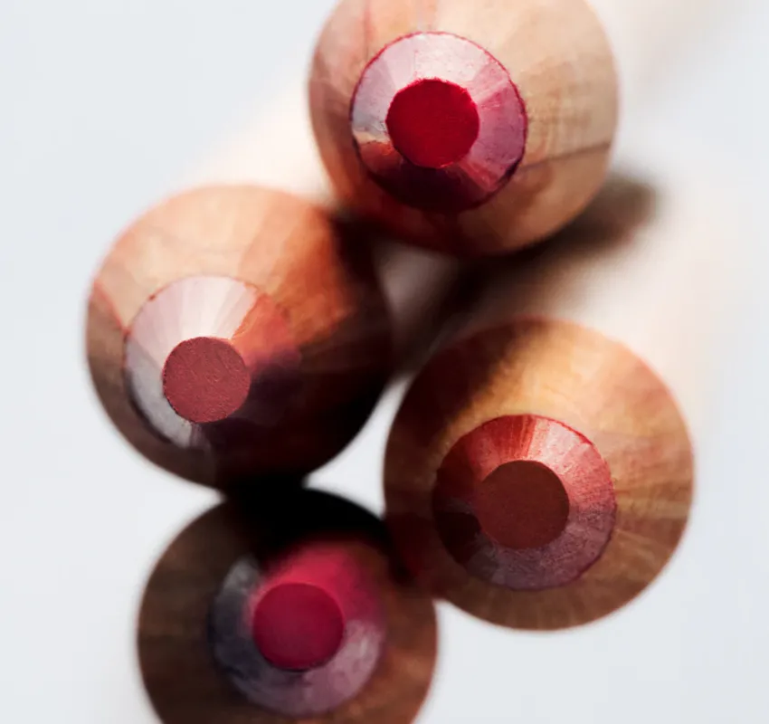 Ключові інгредієнти Lip Crayon  